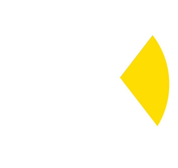 Skoding Logo